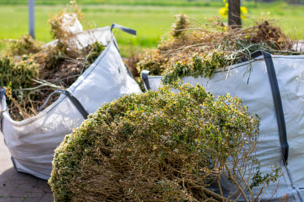 Best Shed Removal  in Ruleville, MS