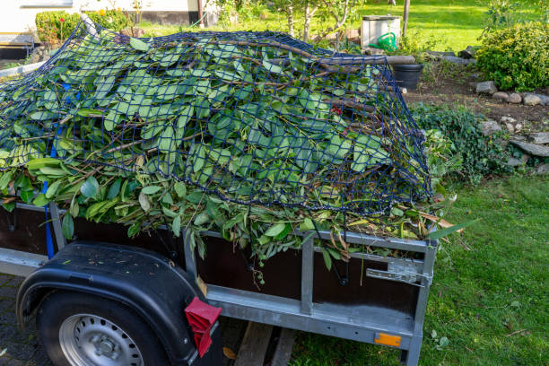 Reliable Ruleville, MS Junk Removal Services Solutions